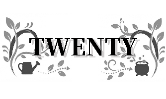 《Twenty》